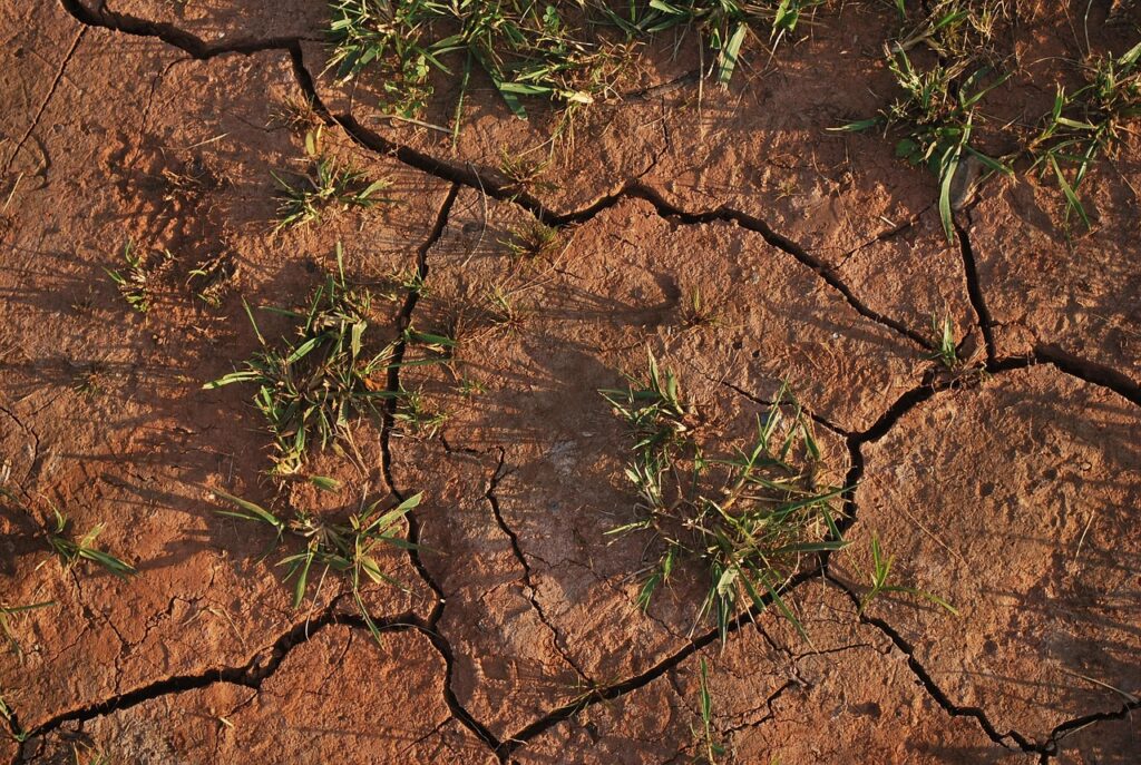 Avversità Catastrofali